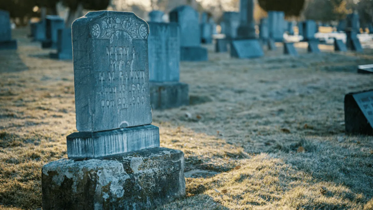 thailand-cemetery-holds-movie-screenings-for-dead-internet-wants-to-know-the-whole-story